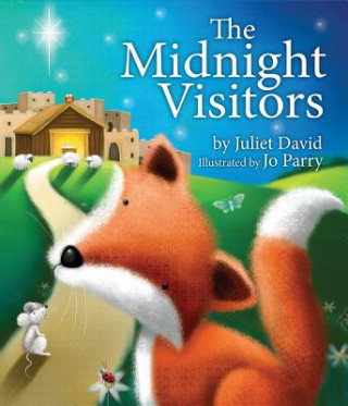 Kniha The Midnight Visitors Juliet David