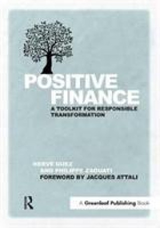 Kniha Positive Finance Herve Guez