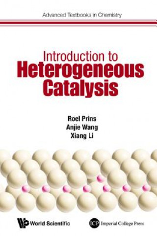 Kniha Introduction To Heterogeneous Catalysis Roel Prins
