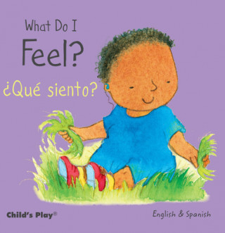 Книга What Can I Feel? / Que siento? Annie Kubler