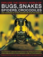 Explore the Deadly World of Bugs, Snakes, Spiders, Crocodiles