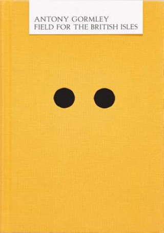 Könyv Field for the British Isles Antony Gormley