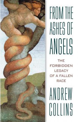 Könyv From the Ashes of Angels Andrew Collins