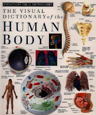 Kniha The Visual Dictionary of the Human Body Inc. Dorling Kindersley