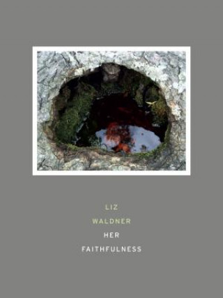 Carte Her Faithfulness Liz Waldner