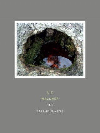 Book Her Faithfulness Liz Waldner