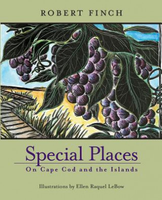 Carte Special Places on Cape Cod and the Islands Robert Finch