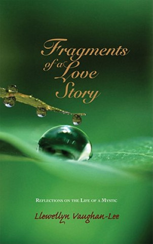 Kniha Fragments of a Love Story Llewellyn Vaughan-Lee