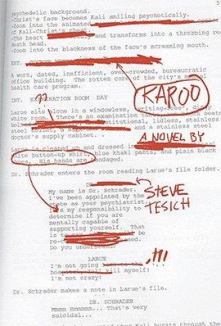 Knjiga Karoo Steve Tesich