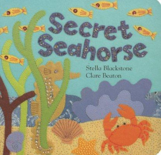 Buch Secret Seahorse Stella Blackstone