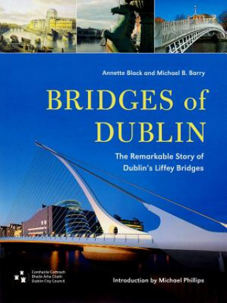 Książka Bridges of Dublin Annette Black