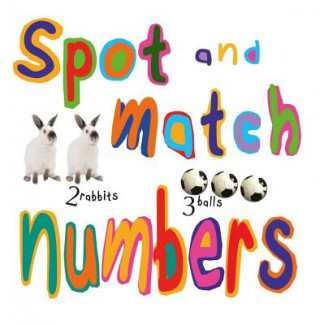 Kniha Spot and Match Numbers David Stewart