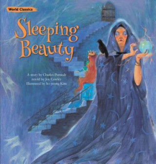 Kniha Sleeping Beauty Charles Perrault