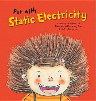 Buch Fun With Static Electricity Chocolate