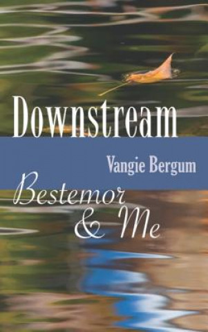 Buch Downstream Vangie Bergum