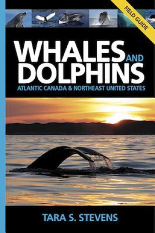 Carte Whales & Dolphins of Atlantic Canada & Northeast United States Tara S. Stevens