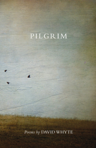 Kniha Pilgrim David Whyte