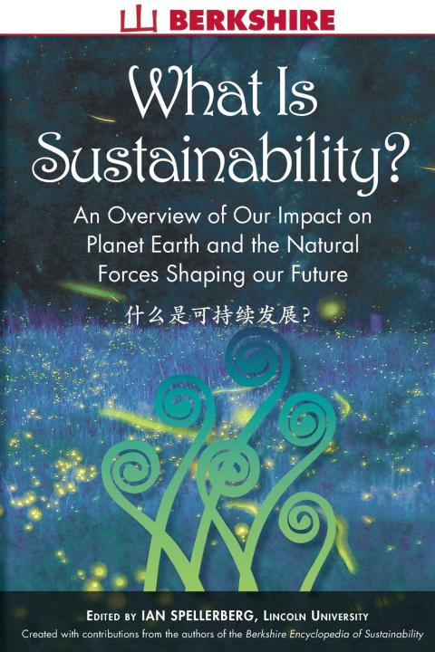 Buch This Good Earth David Levinson