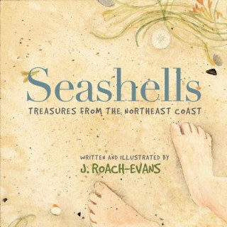 Книга Seashells J. Roach-Evans