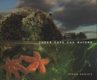 Книга Under Cape Cod Waters Ethan Daniels