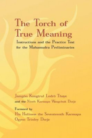 Carte The Torch of True Meaning Jamgon Kongtrul Lodro Thaye