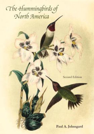 Kniha Hummingbirds of North America Paul A. Johnsgard
