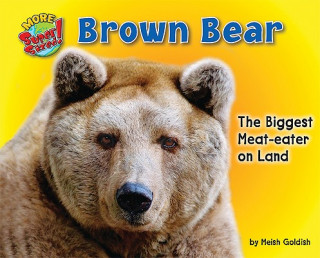 Книга Brown Bear Meish Goldish