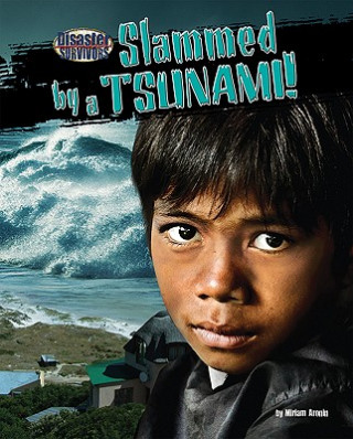 Книга Slammed by a Tsunami! Miriam Aronin