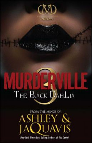 Kniha Murderville 3 Ashley