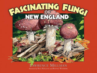 Könyv Fascinating Fungi of New England Lawrence Millman