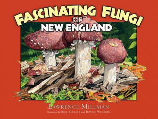 Kniha Fascinating Fungi of New England Lawrence Millman