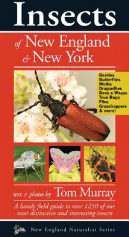 Kniha Insects of New England & New York Tom Murray