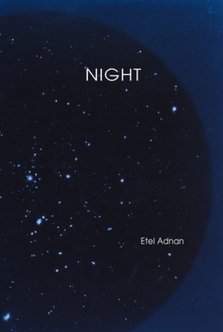 Kniha Night Etel Adnan