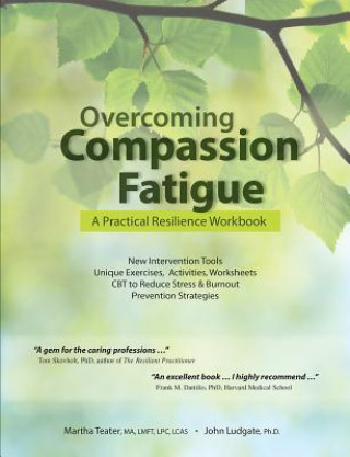 Kniha Overcoming Compassion Fatigue Martha Teater