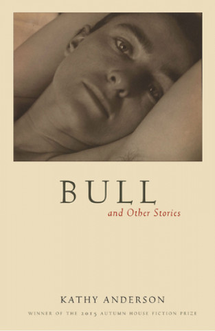 Kniha Bull and Other Stories Kathy Anderson