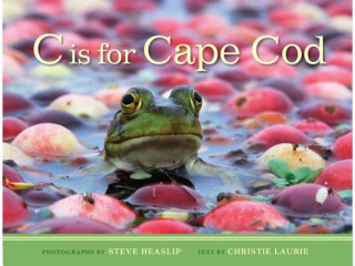 Kniha C Is for Cape Cod Christina Laurie
