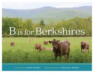 Livre B Is for Berkshires Joan Duris