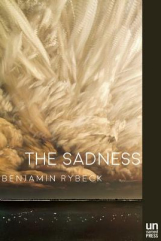 Libro Sadness Benjamin Rybeck