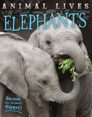 Könyv Elephants Sally Morgan