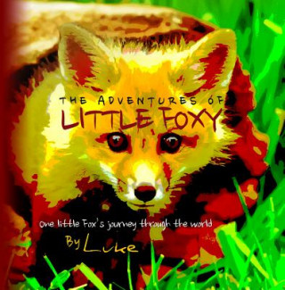 Książka Adventures of Little Foxy Luke