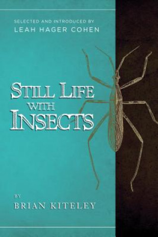 Könyv Still Life With Insects Brian Kiteley