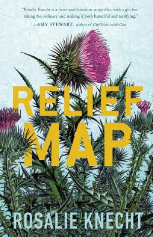 Carte Relief Map Rosalie Knecht