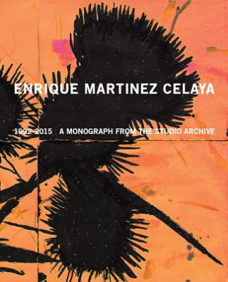 Livre Enrique Martinez Celaya - 1992 - 2015 Enrique Celaya