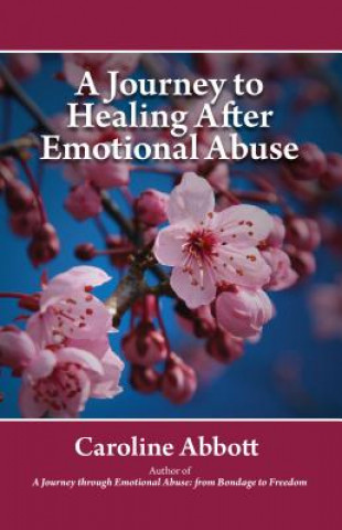 Book A Journey to Healing After Emotional Abuse Caroline Abbott