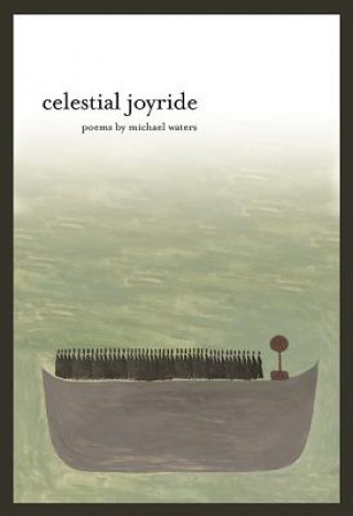 Könyv Celestial Joyride Michael Waters