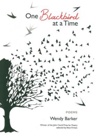 Kniha One Blackbird at a Time Wendy Barker