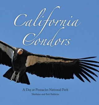 Kniha California Condors Shirlaine Baldwin