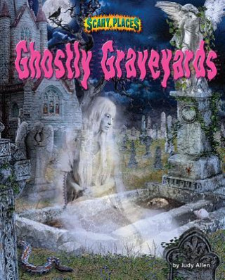 Könyv Ghostly Graveyards Judy Allen