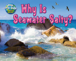 Book Why Is Seawater Salty? Ellen Lawrence