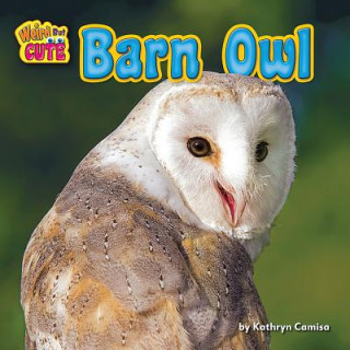 Kniha Barn Owl Kathryn Camisa